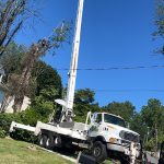 Tree Service Succasunna NJ